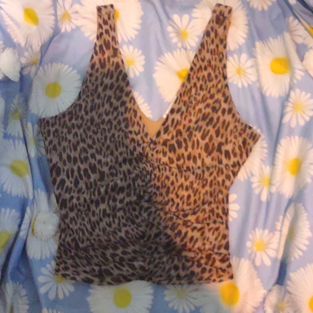 A cheetah crop top